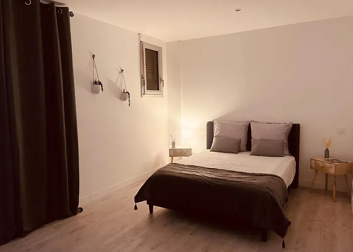 Apartment Le Felicite Spacieux Avec Parking *