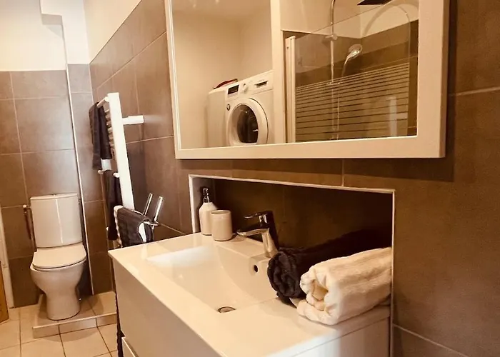 Apartment Le Felicite Spacieux Avec Parking *