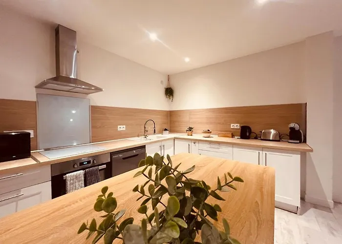 Le Felicite Spacieux Avec Parking Apartment