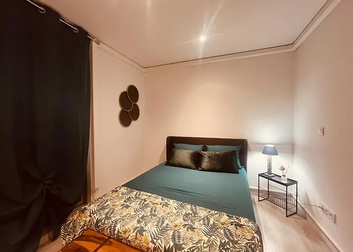 Le Felicite Spacieux Avec Parking Apartment *