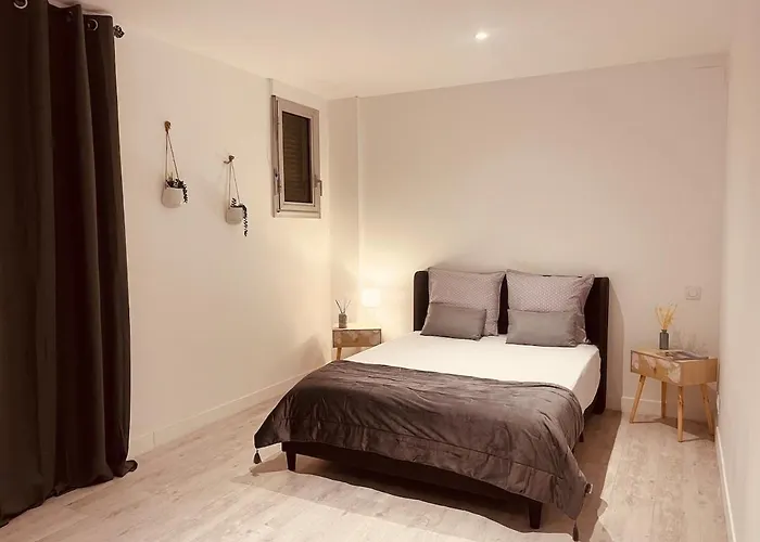 Le Felicite Spacieux Avec Parking Apartment